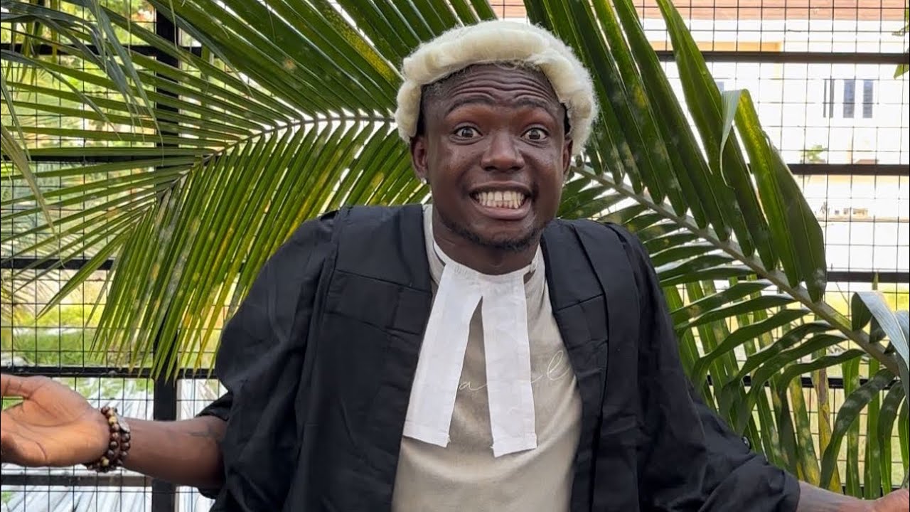 The Most Useless Lawyer Ever